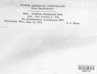 Aecidium xanthoxyli image